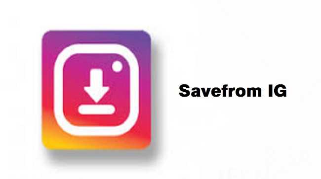 Situs-SaveFrom-IG-–-Download-Video-Instagram-Reels