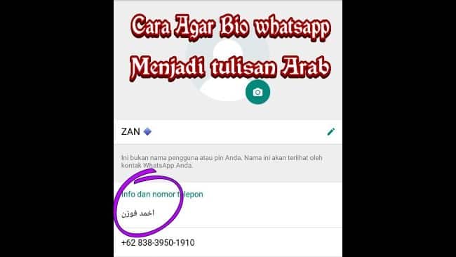 Apa-Itu-Bio-WhatsApp